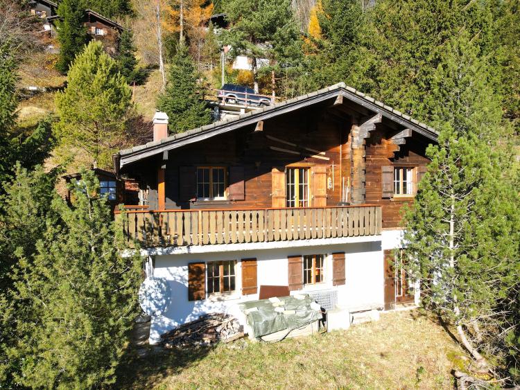 QansF_vue_du_chalet_3.jpg