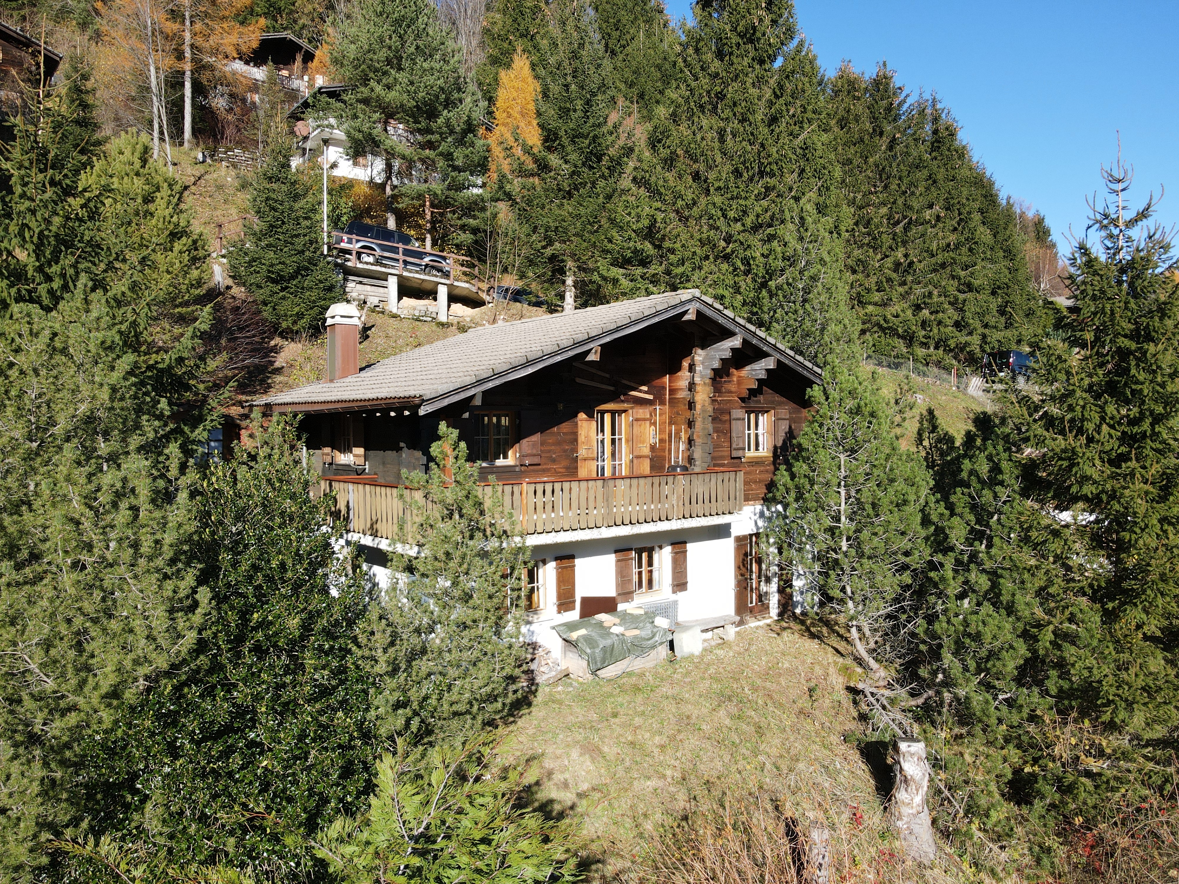 zy4PS_vue_du_chalet_2.jpg